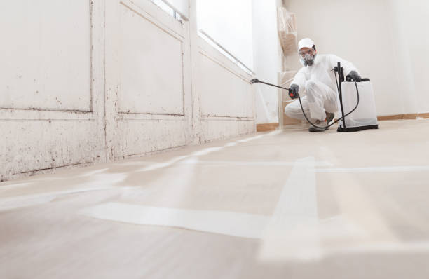 24/7 Emergency Mold Cleanup experts in Marysville, MI