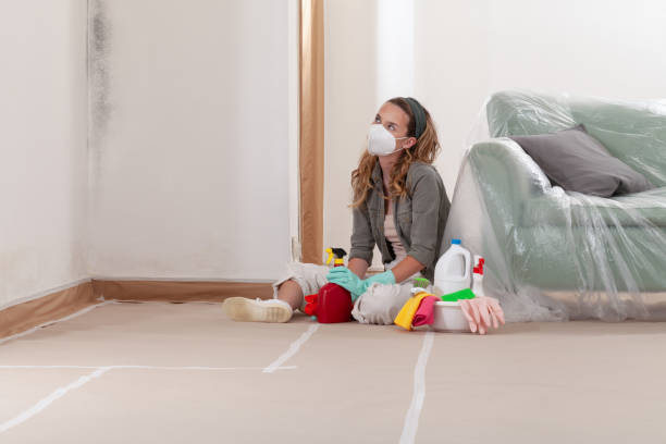 Reliable Mold Cleanup contractor in Marysville, MI by Cheap Mold Removal